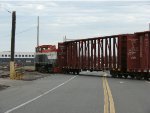 TPR 217